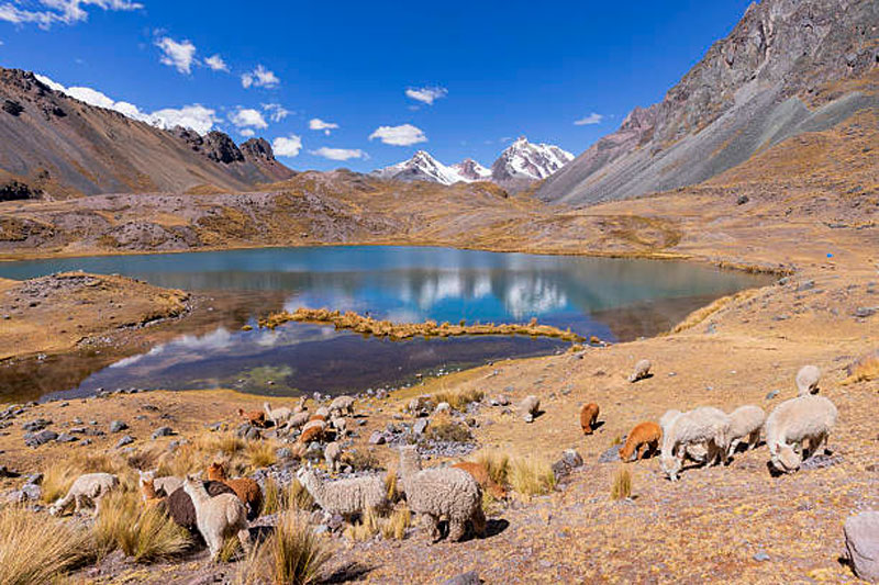 7 Lakes of Ausangate turquoise glacial lagoons and snowy mountain peak in Peru